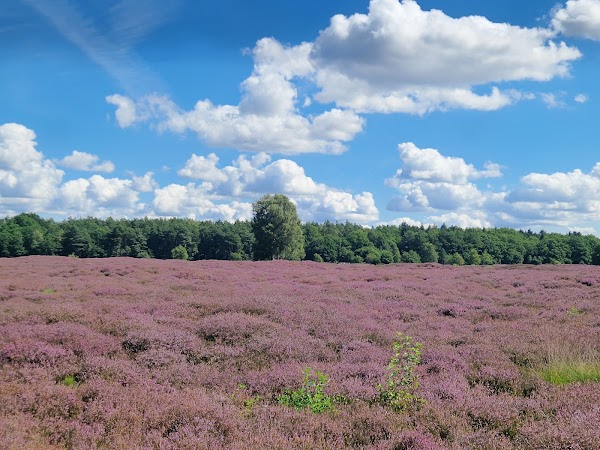 Naturpark Wildeshauser Geest