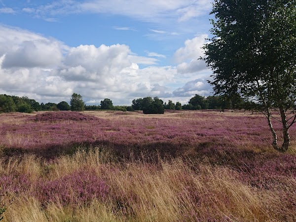Naturpark Wildeshauser Geest