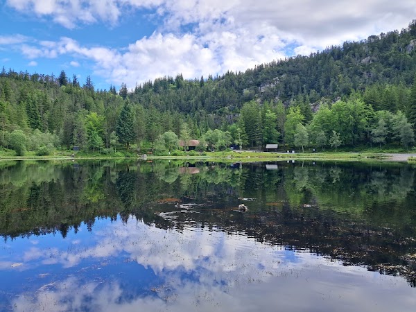 Fløibanen
