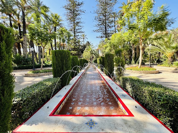 Palmeraie d'Elche