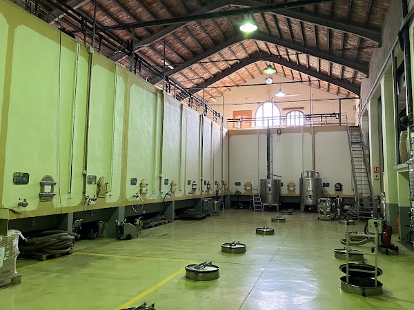 Celler de Capçanes