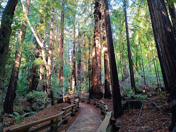 Pfeiffer Big Sur State Park