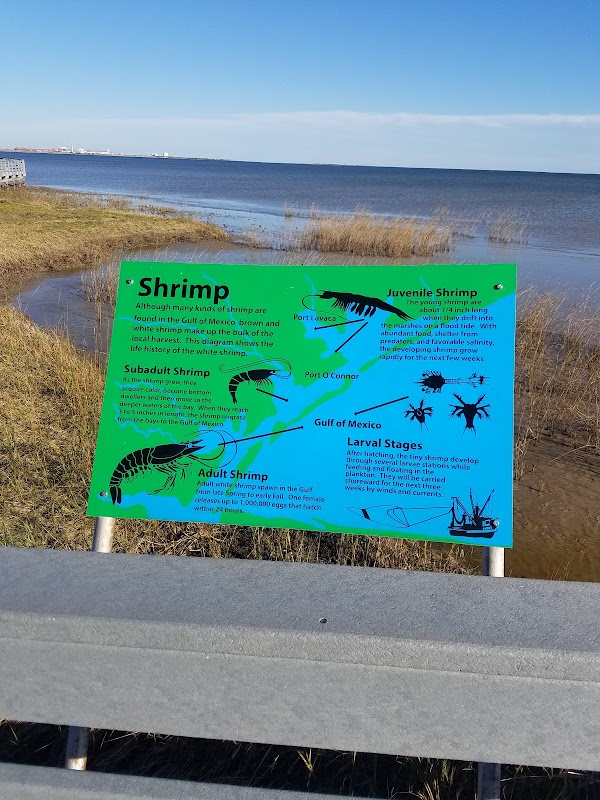 Port Lavaca Bird Sanctuary