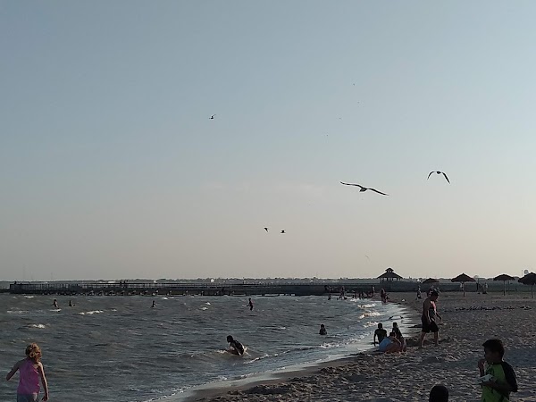 Port Lavaca Bird Sanctuary