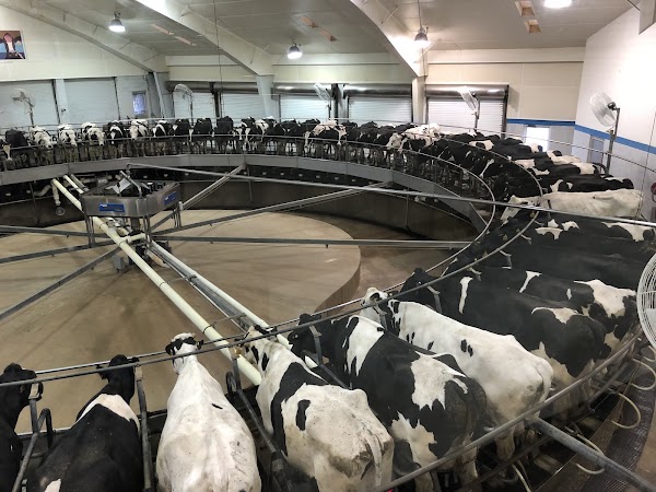 Fair Oaks Farms