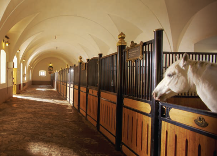 Lipica Stud Farm