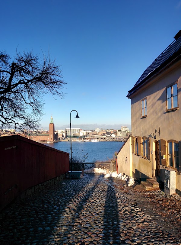 Monteliusvägen