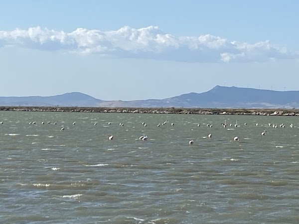 İzmir Birds Paradise