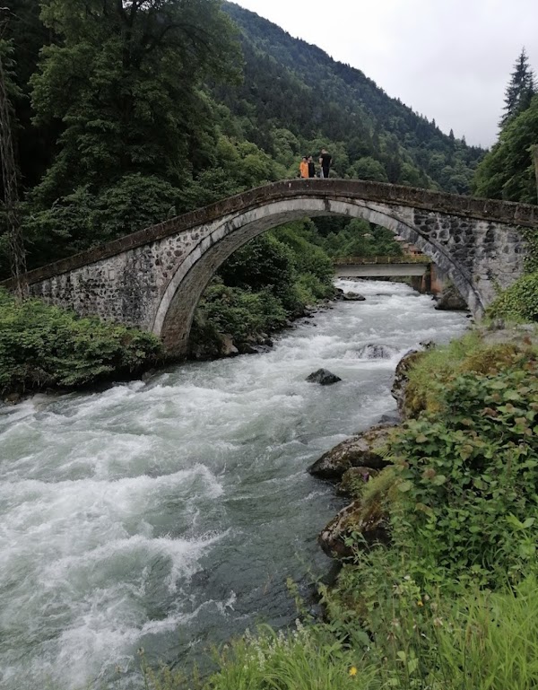 Ayder Plateau