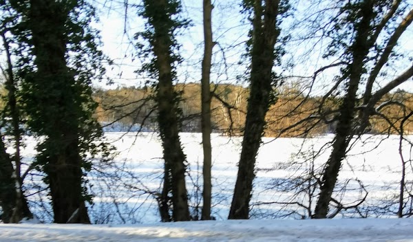 Amtssee
