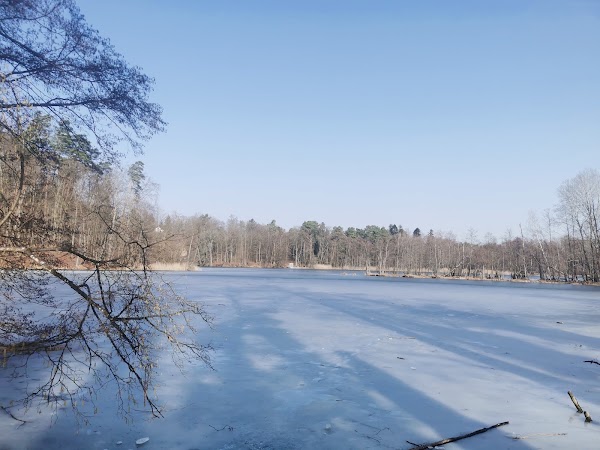 Amtssee