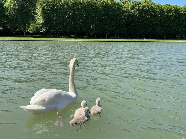 Grand Canal of Versailles
