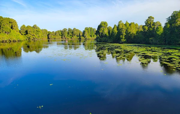 Lettuce Lake Park