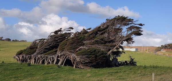 Slope Point