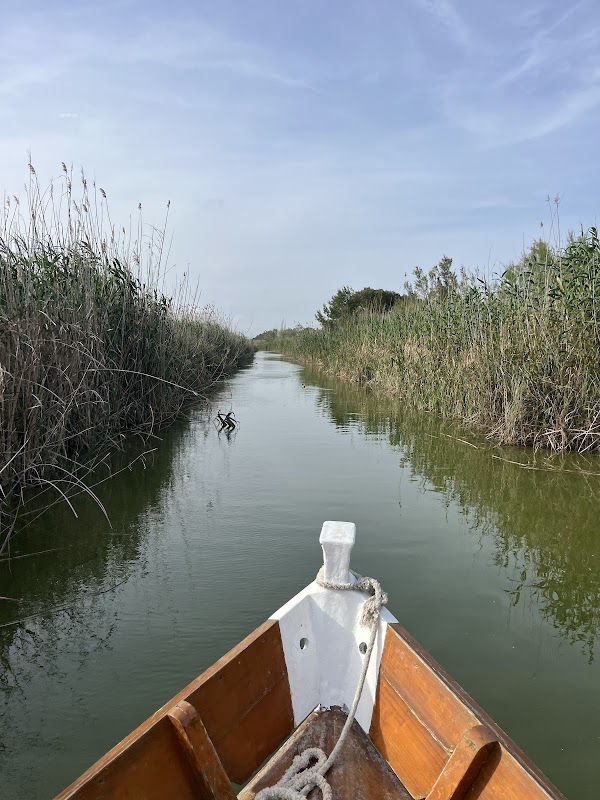 Embarcadero Pomero: Paseos en Barca por l'Albufera | VisitAlbufera