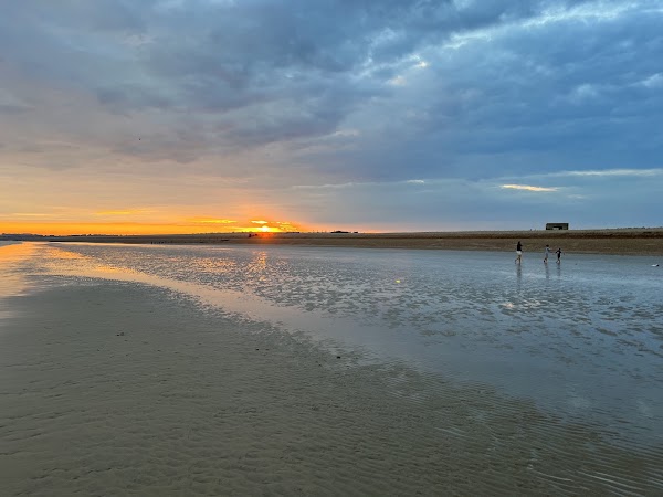 Rye Harbour Nature Reserve