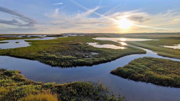 Rye Harbour Nature Reserve