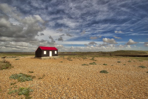 Rye Harbour Nature Reserve