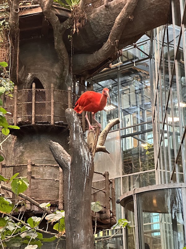Universeum