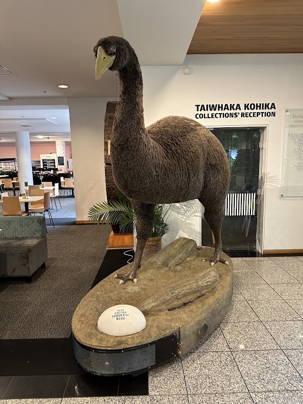 Tūhura Otago Museum