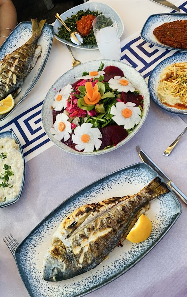 Mustafa Amca'nın Yeri - Canlı Balık Restaurant