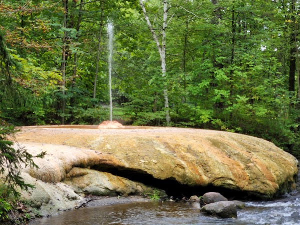 Saratoga Spa State Park