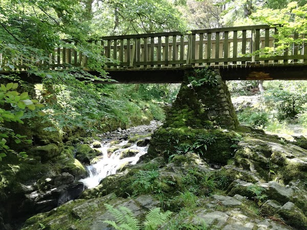 Tollymore Forest Park