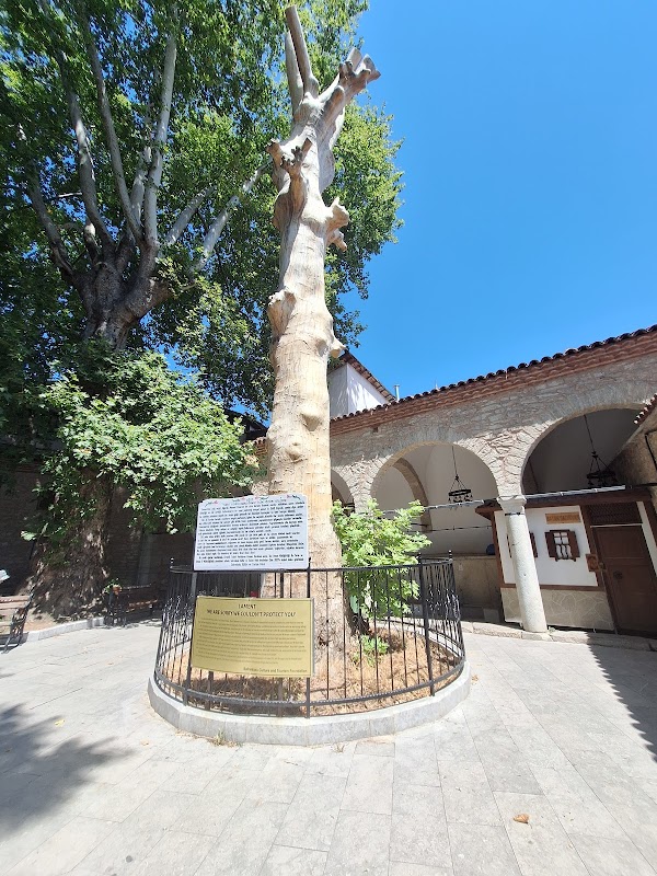 Köprülü Mehmet Paşa camii