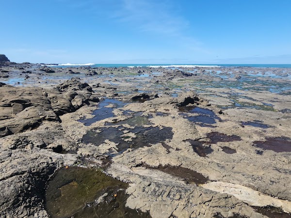 Curio Bay