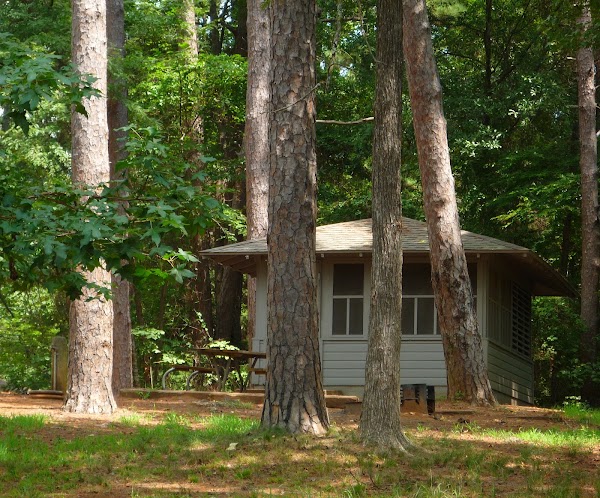 Tyler State Park