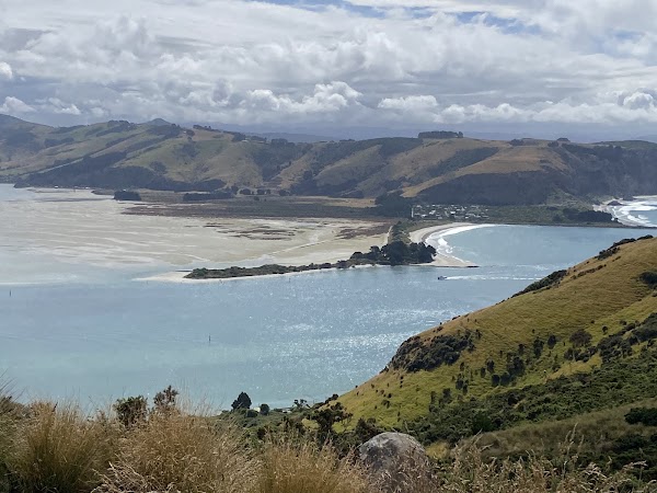 Taiaroa Head