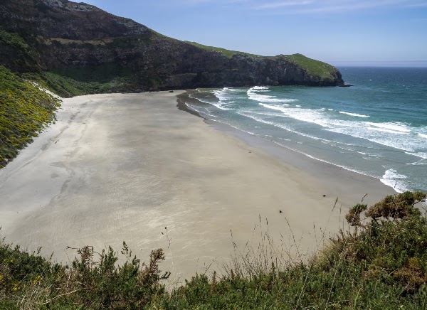 Taiaroa Head
