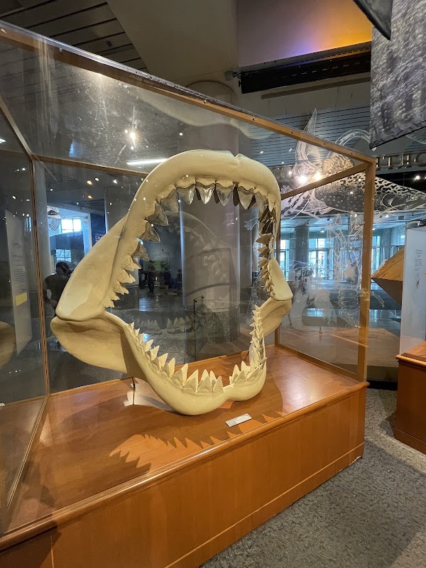 North Carolina Museum of Natural Sciences