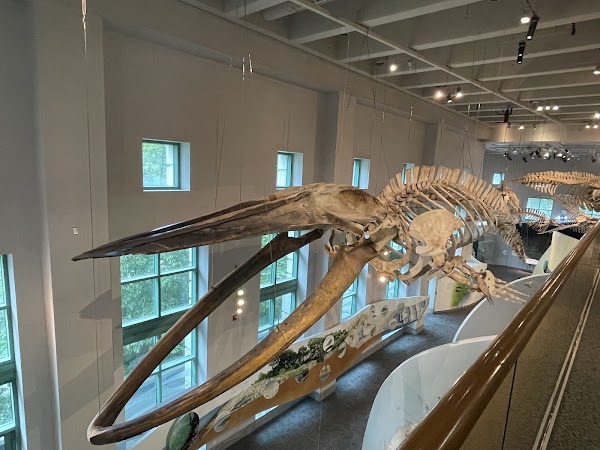 North Carolina Museum of Natural Sciences