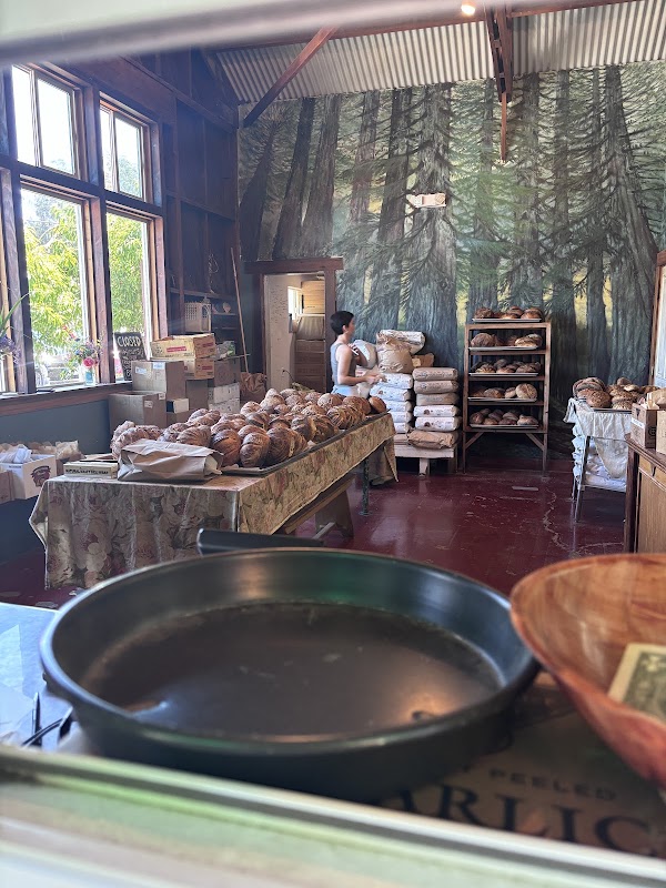Wild Flour Bread