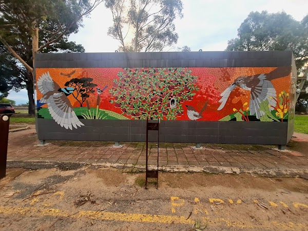 Coonalpyn Silo Mural