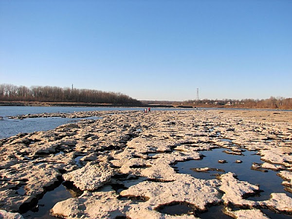 Falls of the Ohio State Park