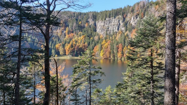Feldsee