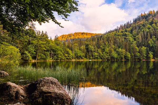 Feldsee