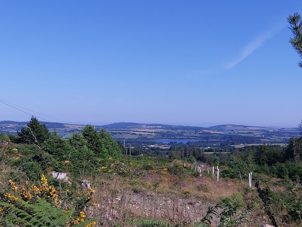 Sally Gap