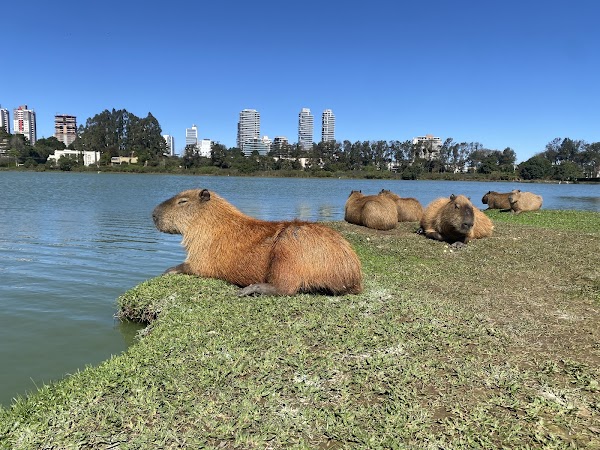 Parque Barigui