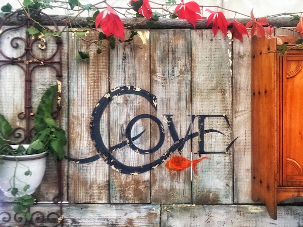 Cove Restaurant