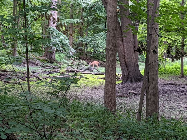 Clinton River Park North