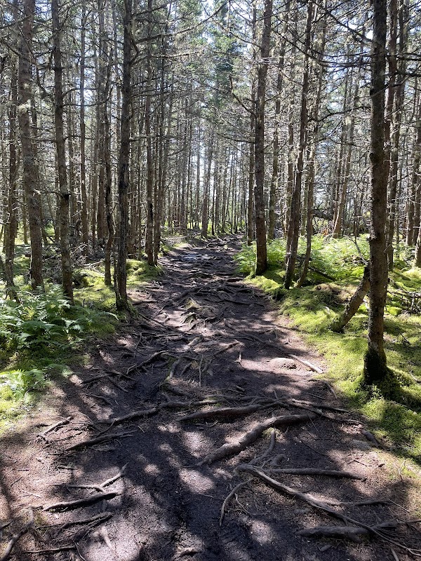 Gaff Point Trail