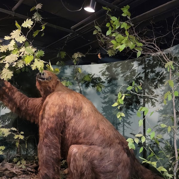 University of Iowa Museum of Natural History