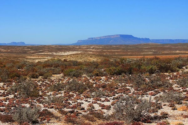 Knersvlakte Nature Reserve