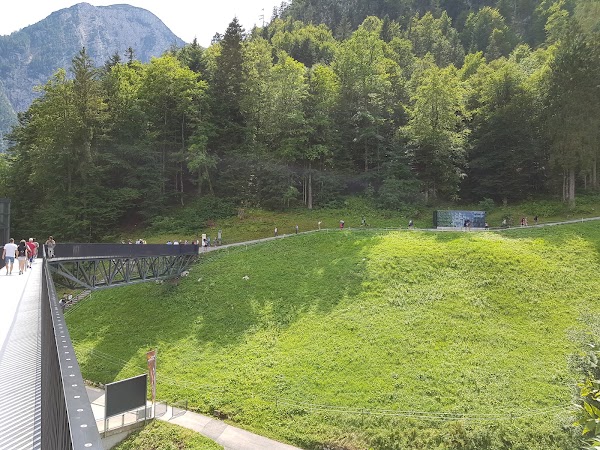 Panoramic Viewpoint - Hallstatt Skywalk