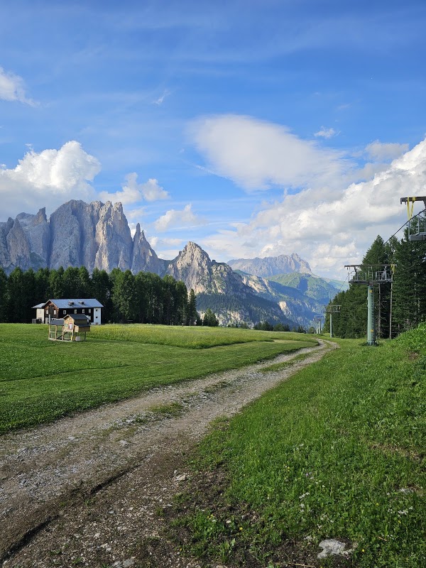 Funivia a monte Catinaccio Ciampedie