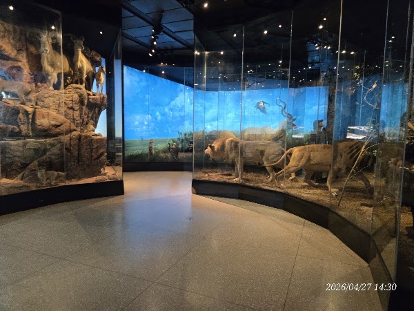 Museum der Natürlichen Wissenschaft, Houston