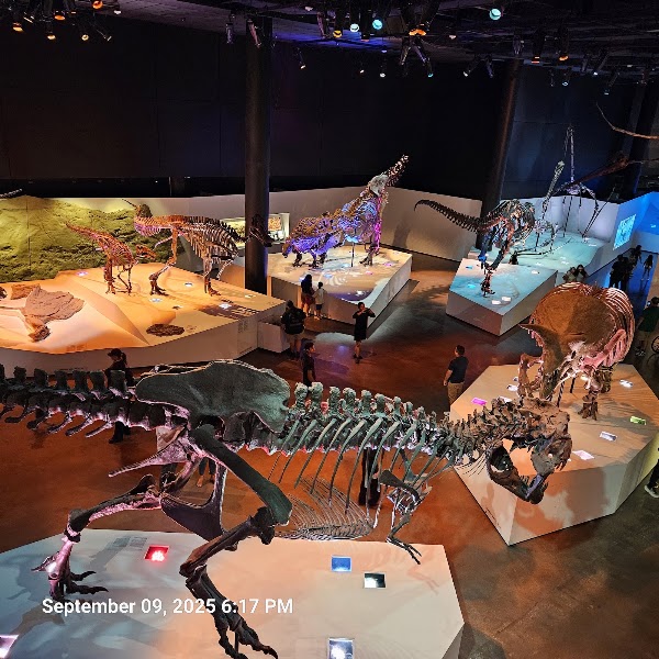 Museum der Natürlichen Wissenschaft, Houston